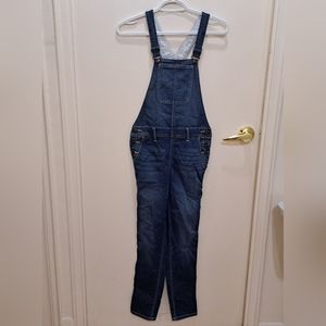Joe's Denim Over all pants